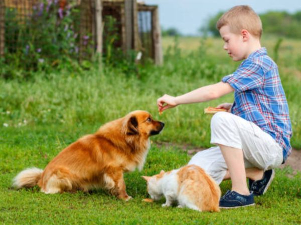 A Guide to Raising Animals: From Start to Finish