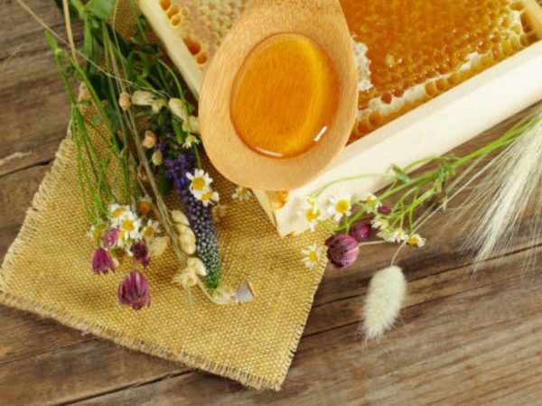 The Art and Science of Honey Production: A Journey into the World of Bees