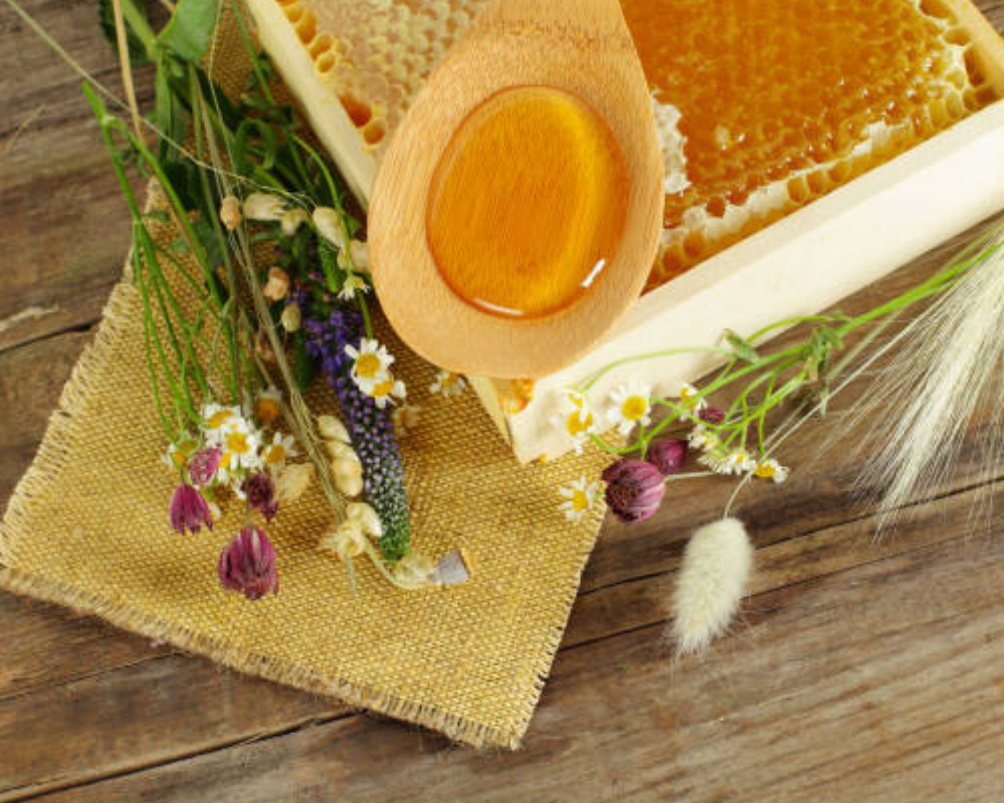 The Art and Science of Honey Production: A Journey into the World of Bees