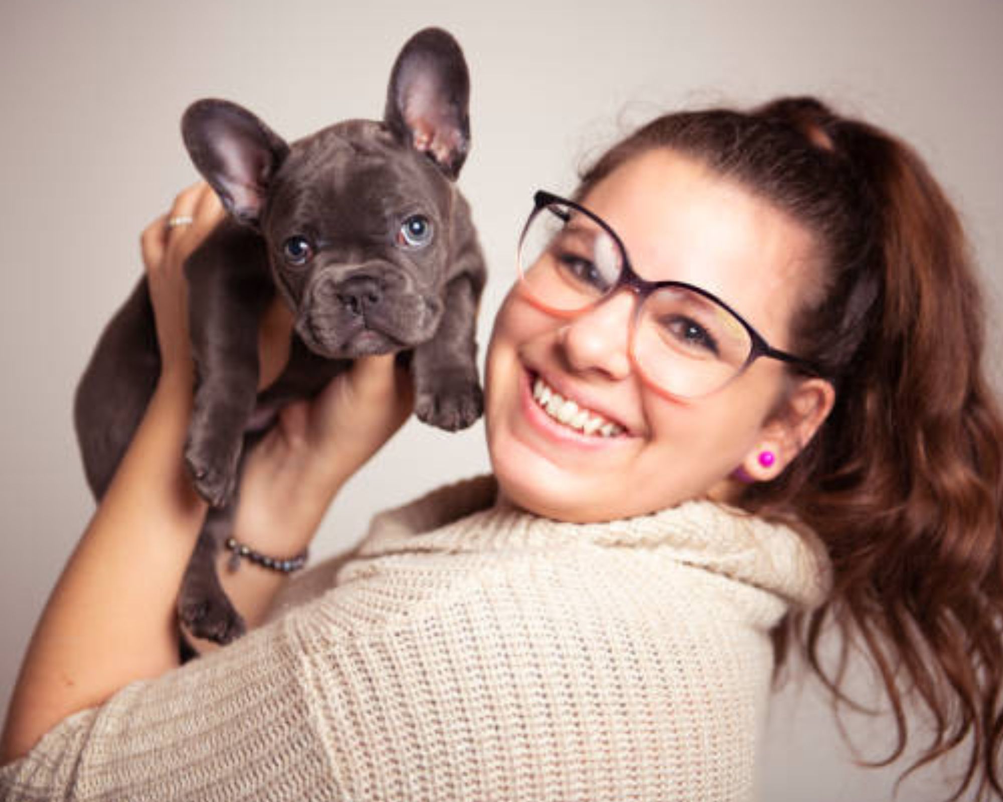 Top Things to Consider When Buying a French Bulldog PuppyTop Things to Consider When Buying a French Bulldog Puppy