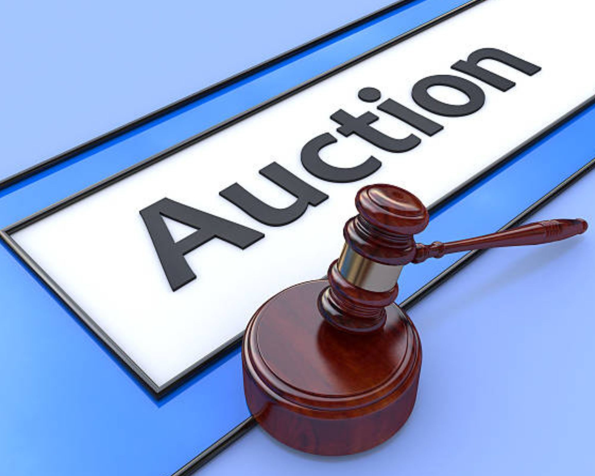 Revolutionizing Auctions: The Unmatched World of AuctionZip