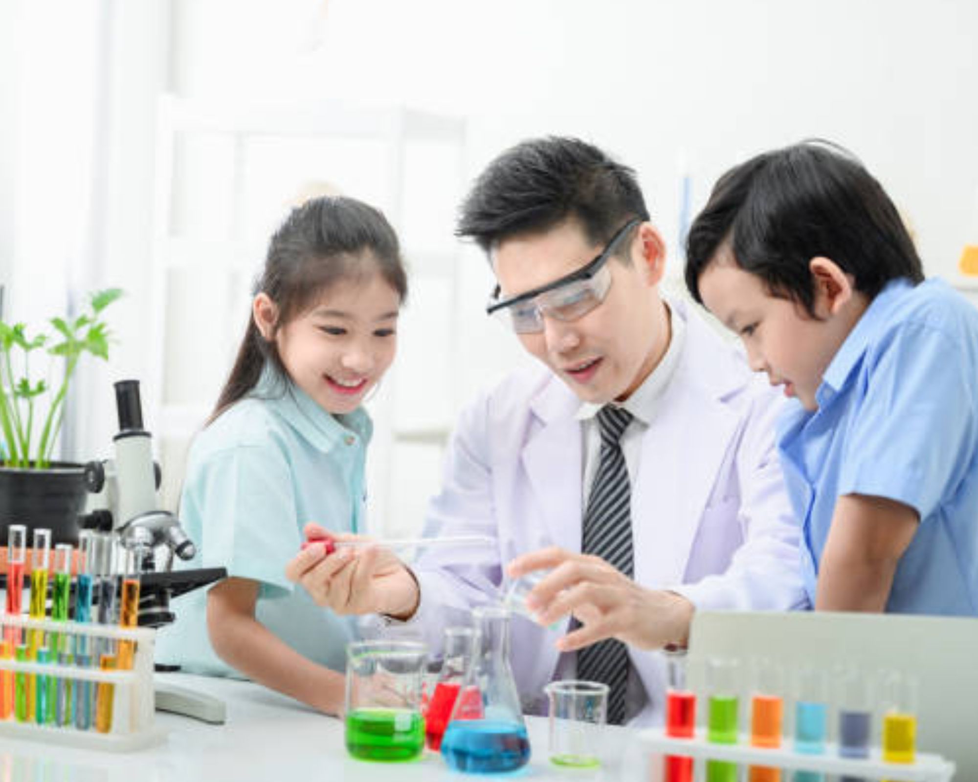 PSLE Science Navigating Singapore's Primary School Science Examination